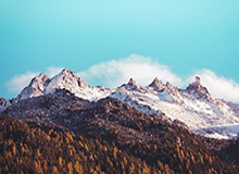 BOB半岛体育平台开启极致观赛新纪元